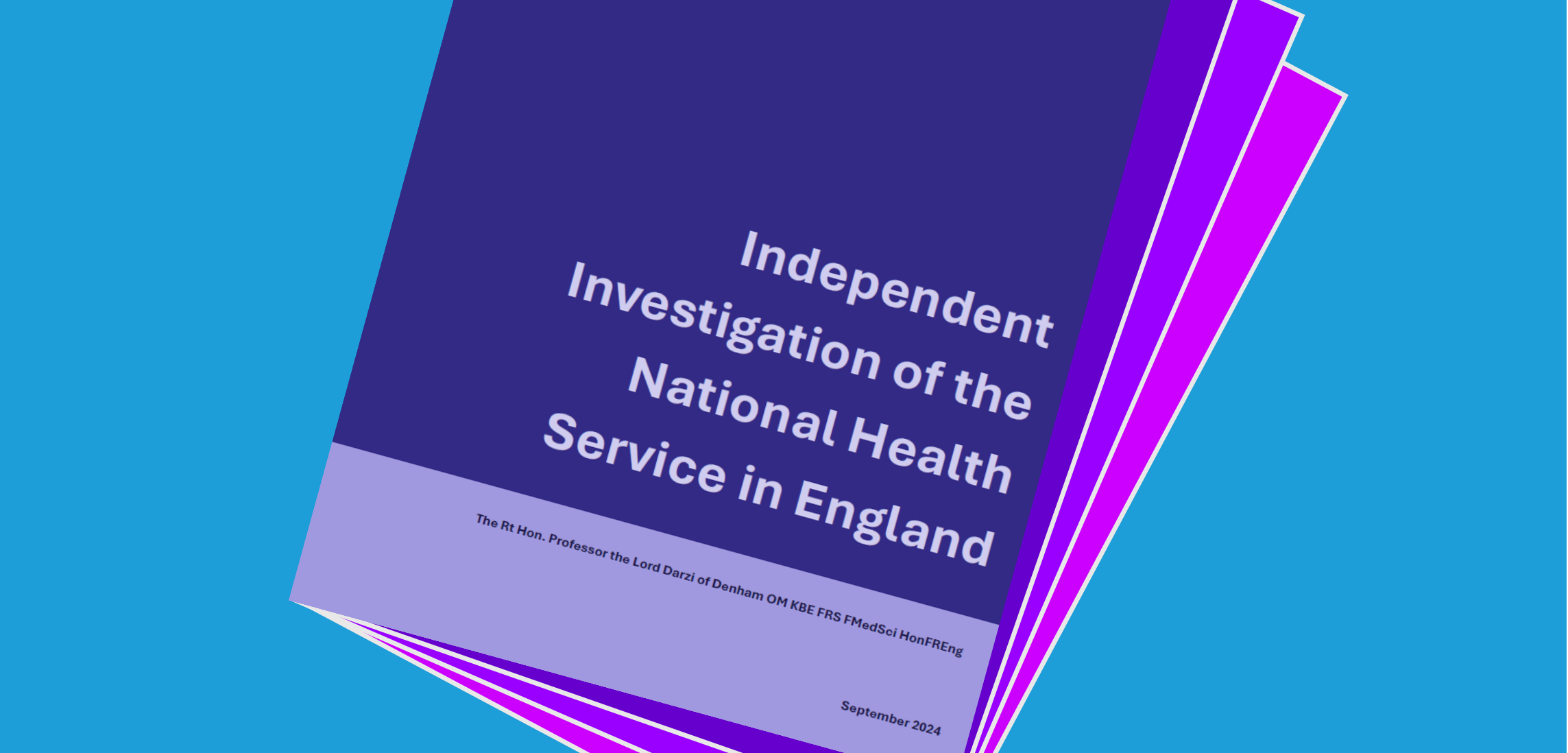 IRP evidence to the Lord Darzi review